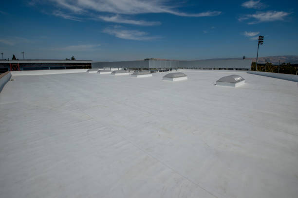 Best Roof Maintenance and Cleaning  in Eatons Neck, NY